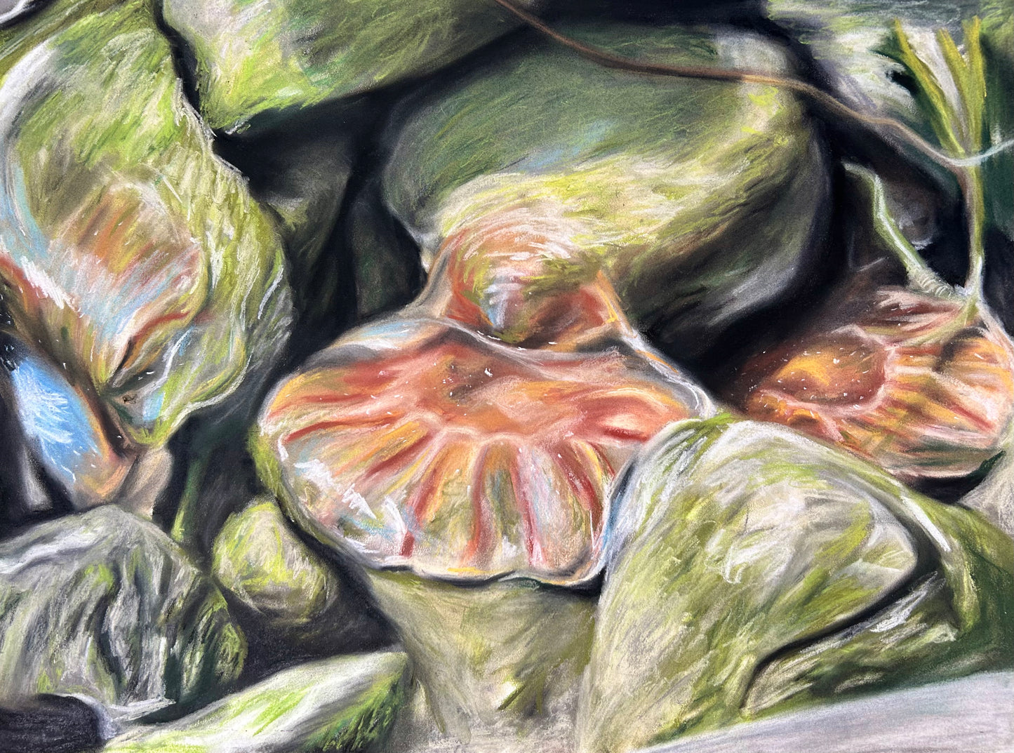 custom pastel drawing (commission)