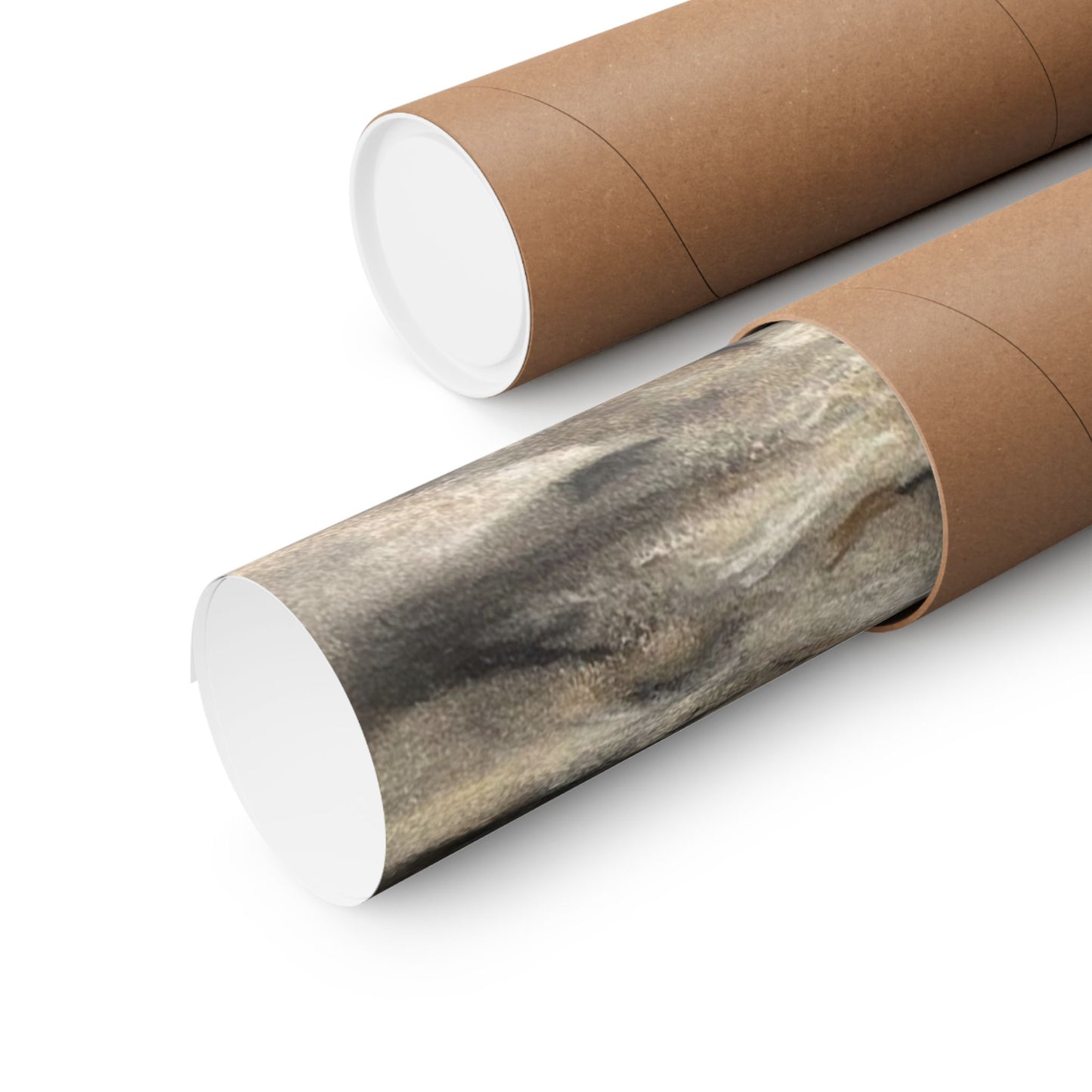 seagull chips art poster