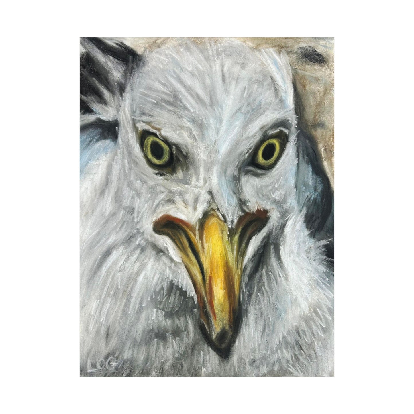 seagull portrait art poster
