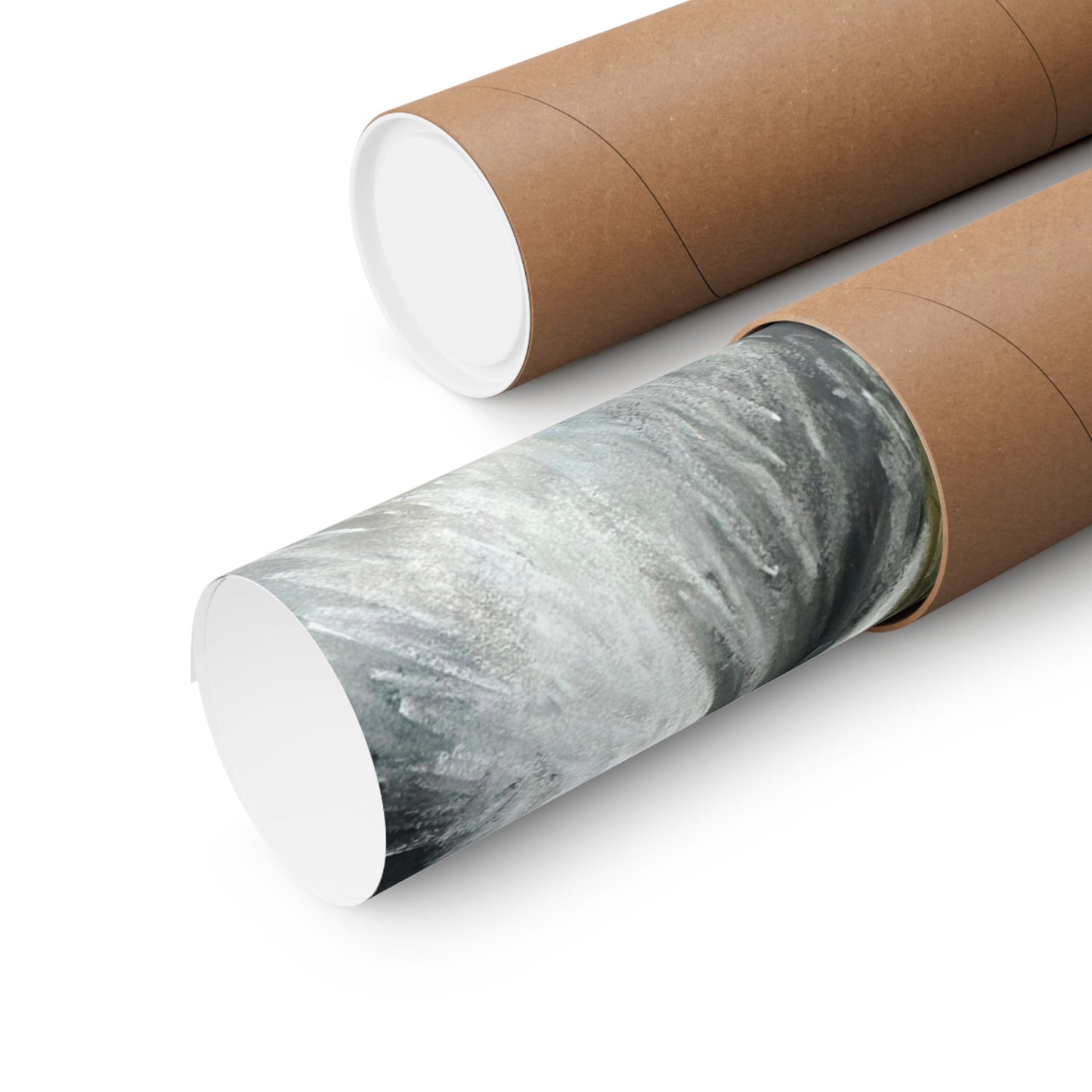 seagull portrait art poster