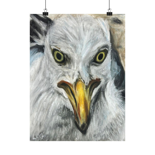 seagull portrait art poster